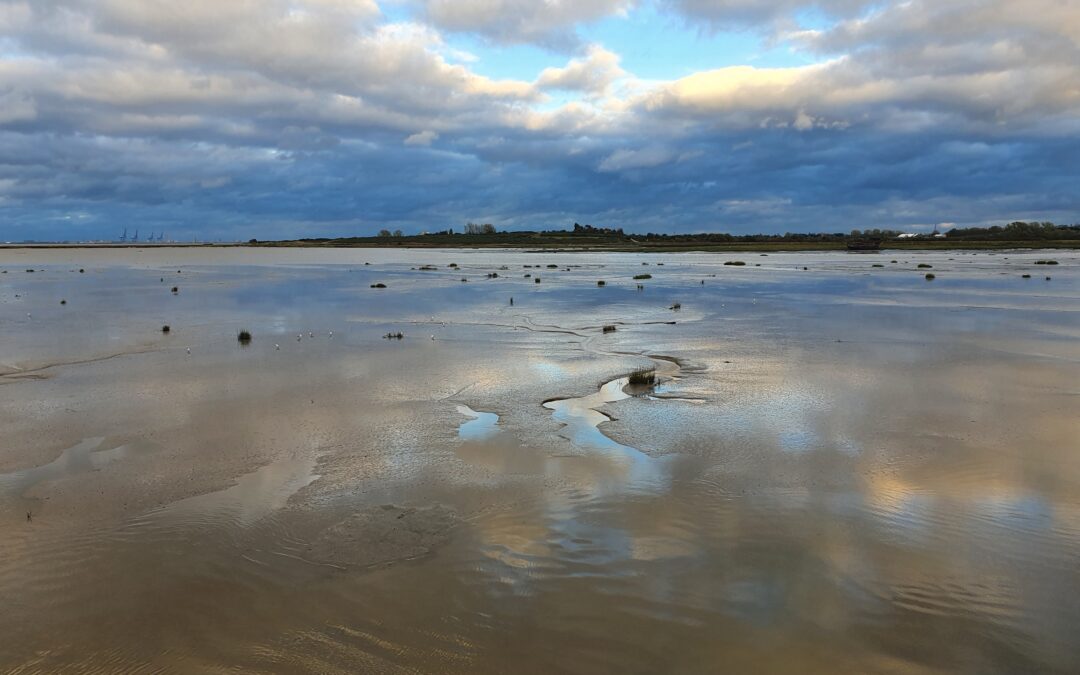 serene natural landscape representing hypnotherapy for change and calm direction